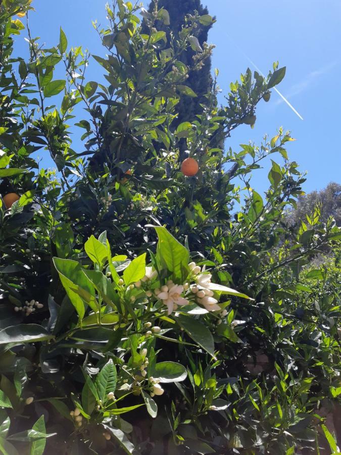 Crapa Licca Villa Ventimiglia di Sicilia Exterior foto